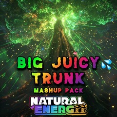 Juicy x Cold Case Natural Energii Mashup) - Blunts & Blondes, Griz, Blurrd Vzn, Carbin, Typhon