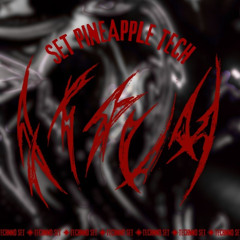 SET PINEAPPLE TECH