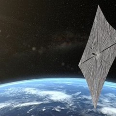 papillon in universe.kr