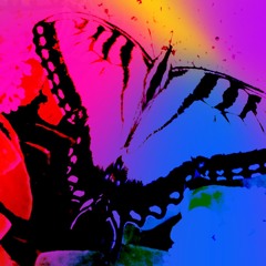 yukiov1_KIMIWONOSETE_demonstration