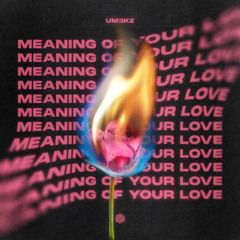 Um3kz - Meaning Of Your Love