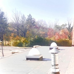 Pop Socket Freestyle