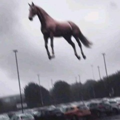 Stupid funds (prod. 1shimly)