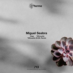 PREMIERE: Miguel Seabra - Dsgx [DAM13]
