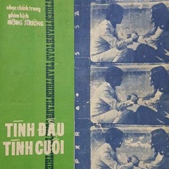 Tình đầu tình cuối