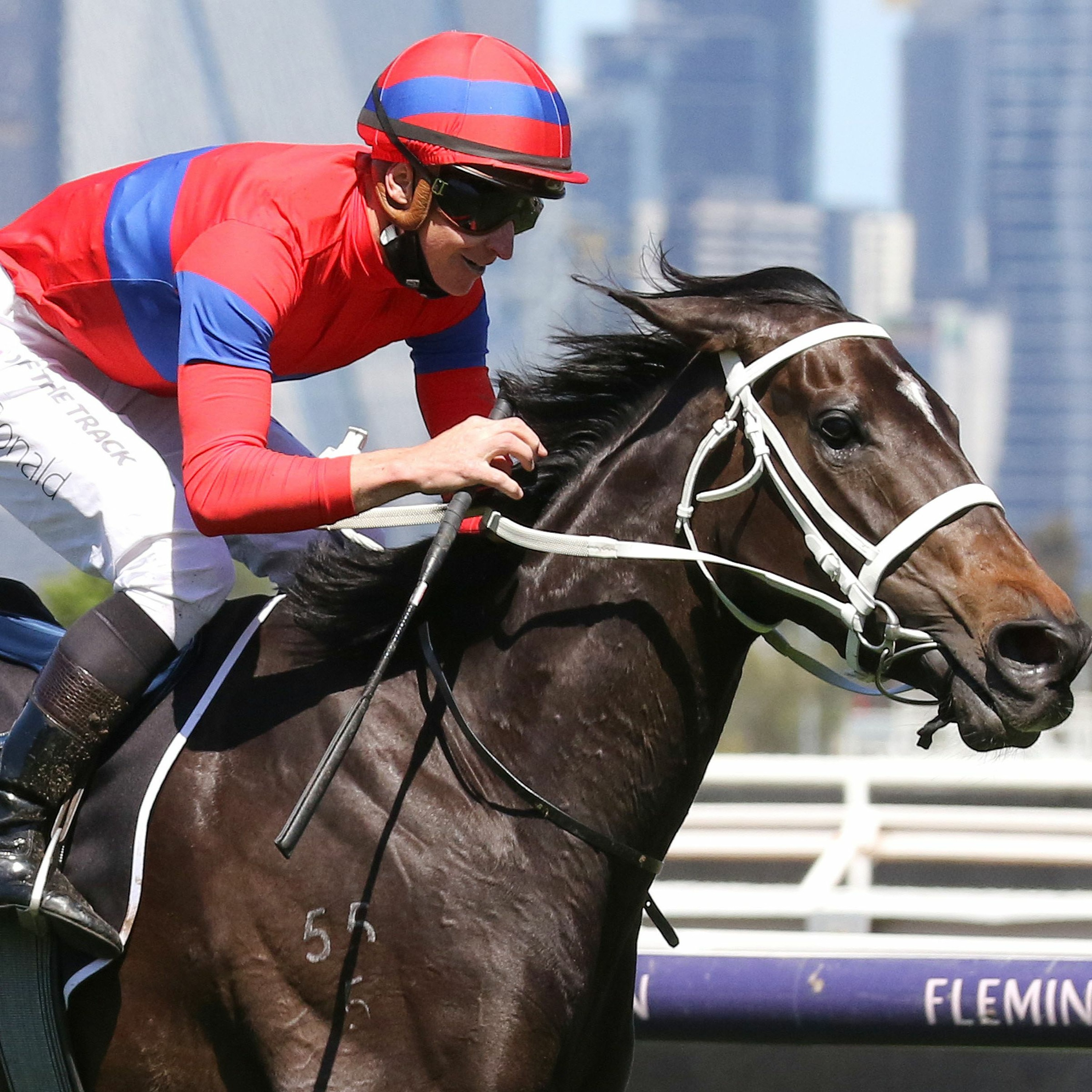 NZ Racing News
