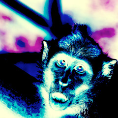 S2S Jamns 2026 - Day02