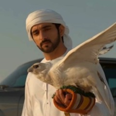ميحد حمد - يا طير