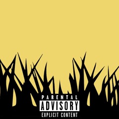 THE PALMS FREESTYLE FT. NYKO BANDZ