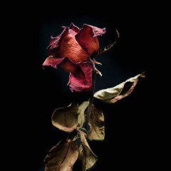 Playin You (prod. montana)