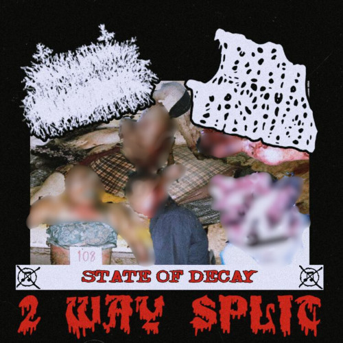 STATE OF DECAY (2 WAY SPLIT W/ SLAMSUGER)