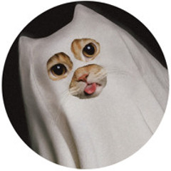 DIDO - THANK YOU ( Not So Bad - Revoltz )