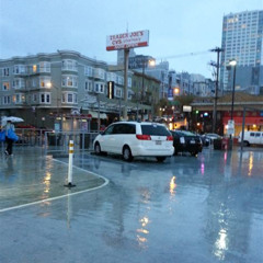 Best Things To Do In San Francisco When It Rains Tours Reviews