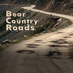 Bear Country Roads-Michael McCune