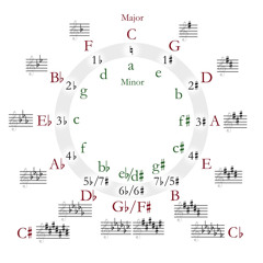 fake bongos