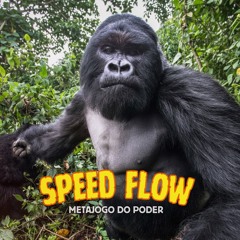 Speed Flow - Metajogo do Poder