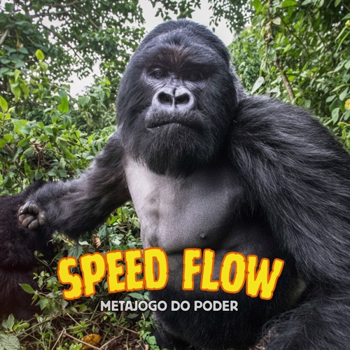Speed Flow - Metajogo do Poder