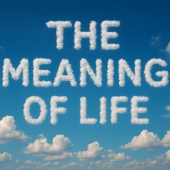 The Meaning Of Life