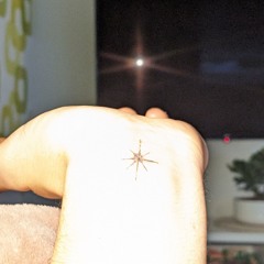 ich kann mich nicht dran erinnern den gemacht zu haben