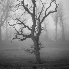 True Love Waits (electro remix) Radiohead cover