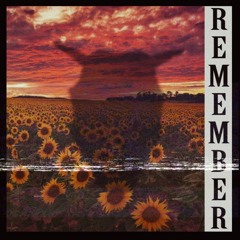 K1NG - Remember (Experiment/Lost Media).