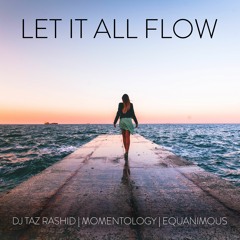 Let It All Flow (feat. Artzi) - DJ Taz Rashid, Momentology, Equanimous