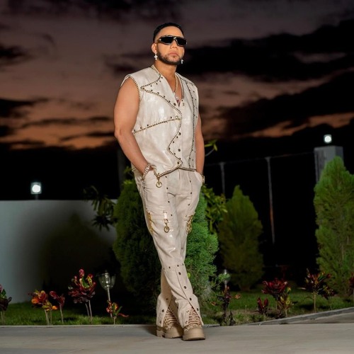 Dj RayMix - Elvis Martinez (EN VIVO)