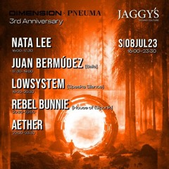 Lowsystem set - Jaggys 3rd Anniversary 8-7-23