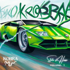 STATE OF HOUSE VOL. 1