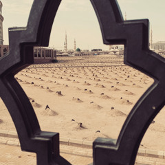قِفْ أنتَ ممنوعُ الدُّخُول للبقیعِ | حاج میثم مطیعی