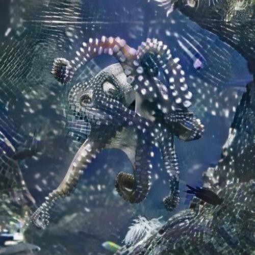 Octopus Disco