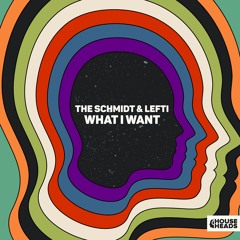 What I Want - The Schmidt & LEFTI [House U Records]