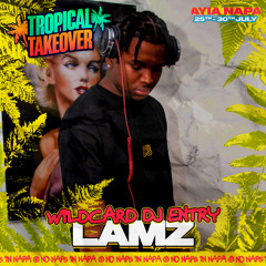 #TROPICALTAKEOVER - DJ LAMZ OFFICIAL WILDCARD MIX