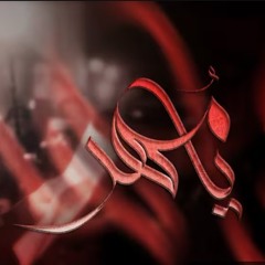 يا مهر  الرادود أيمن محمد المقابي  سترة الخارجية ليلة ثاني محرم هـ.