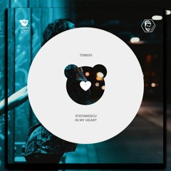 Stefanescu - In My Heart ( Extended )