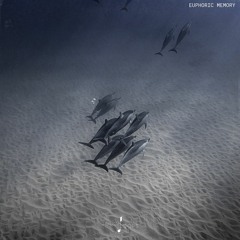 Euphoric Memory - Demo