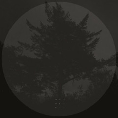 [Premiere] Smoley - Line (A Thousand Details Reflow) (out on NFEREE)