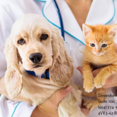 Steveston Veterinary Hospital - Richmond Veterinarian