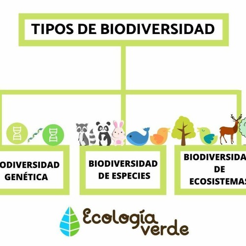Stream episode TIPOS DE BIODIVERSIDAD DE ECOLOGÍA VERDE by VCaroGalla