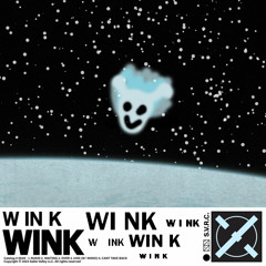 W IN K simulator