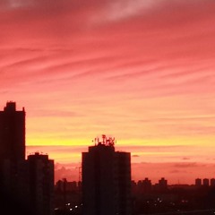 What We Do in the Shadows  Season 3x8 Outro Song  SOS by Timothy Fleet