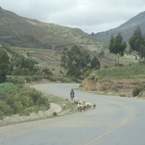 Routes & Branches & Beyond show #385 2025 10 30