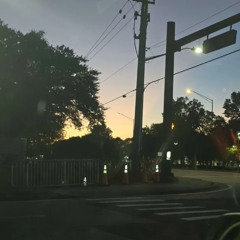 COLD CUTS ON MY CONSCIENCE - By $awrMane - (prod. yorona)