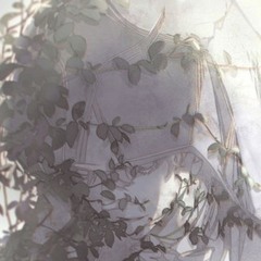 reins [52blu]