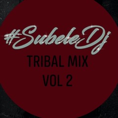 DJ Taz - Tribal Mix Vol 2 2022