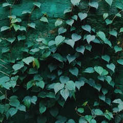 the hidden place