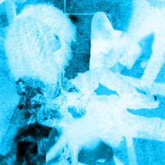 DEMO - Profecia/sucrilhos