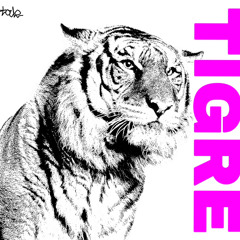 Tigre