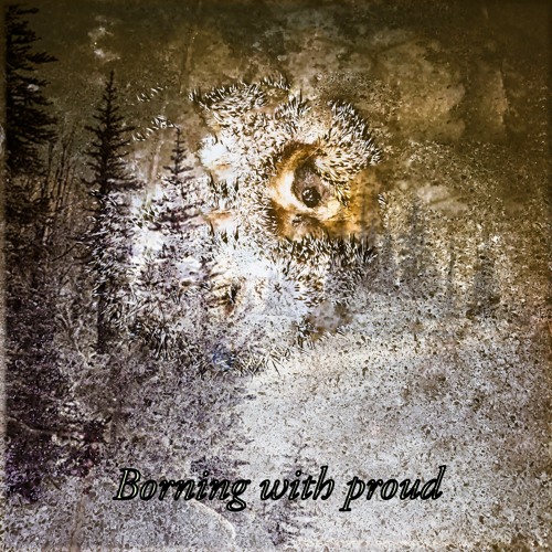 Borning with proud