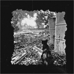 REVIVAL [demo]